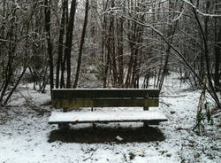 neve malpensa cardano al campo dicembre 2010