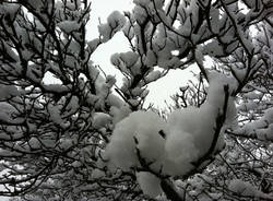neve pomeriggio 1 dicembre 2010