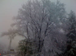 neve pomeriggio 1 dicembre 2010