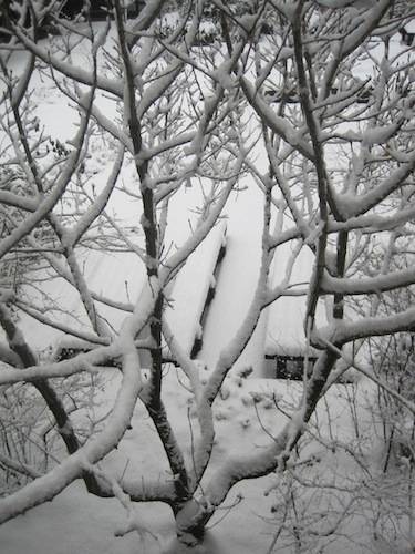 neve zurigo 17 dicembre 2010