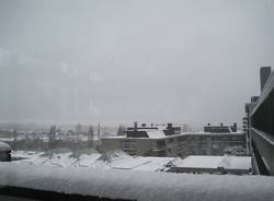 neve zurigo 17 dicembre 2010