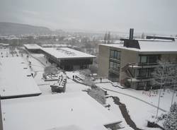 neve zurigo 17 dicembre 2010