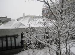 neve zurigo 17 dicembre 2010