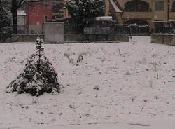 nevicata 1 dicembre 2010 tradate