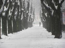 nevicata tradate 6 dicembre 2010