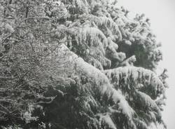 nevicata tradate 6 dicembre 2010
