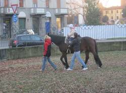 parco museo del tessile busto battesimo del cavallo 11-12-2010