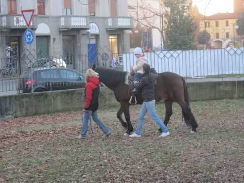 parco museo del tessile busto battesimo del cavallo 11-12-2010