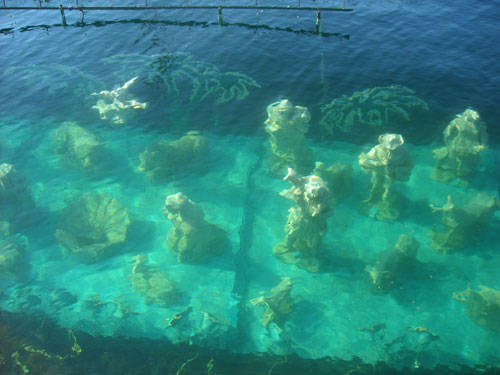  presepe sommerso laveno  2010