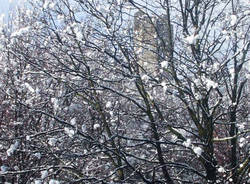 velate neve foto 