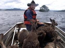 alluvione in australia