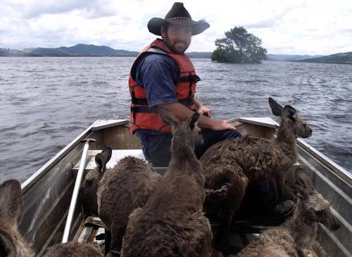 alluvione in australia