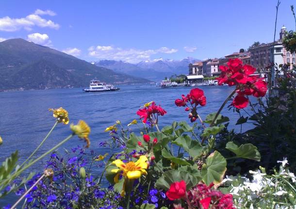 Bellagio fiorita di primavera