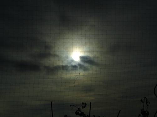 eclissi gat tradate 4 gennaio 2011