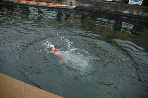 hic sunt leones cimento navigli milano 2011