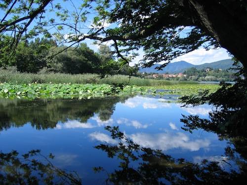corridoio biologico lipu 