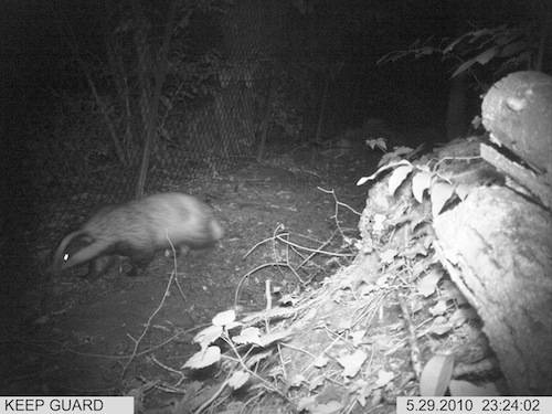 corridoio biologico lipu 