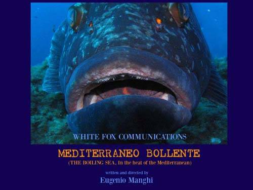 documentario boiling sea eugenio manghi