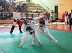 nippon kempo malnate