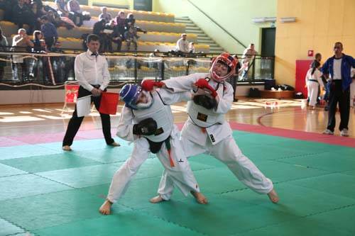 nippon kempo malnate