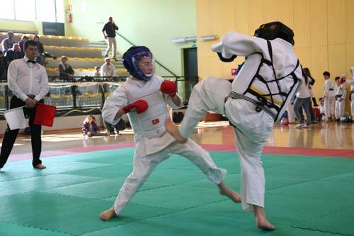 nippon kempo malnate