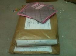 schede elettorali abbandonate gallarate