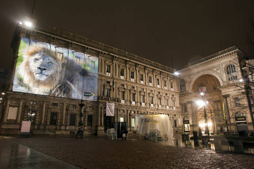 Sudafrica Simone Raso