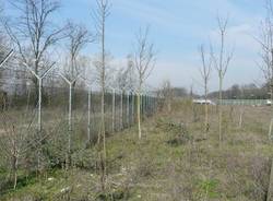 campo militare lonate pozzolo area promessa