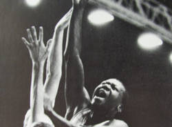 corny thompson basket divarese