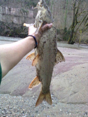 tresa fiume creva diga