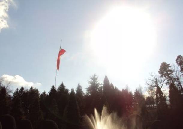 Tricolore  al  Vento