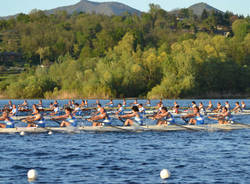 canottaggio varese 2011 foto massimiliano rovera pietro anzi