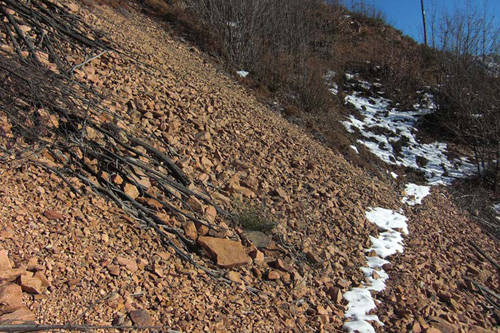 ganna mondonico 2011