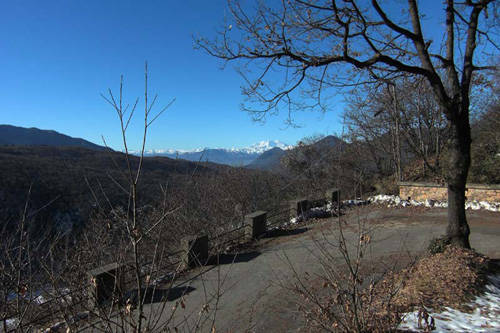 ganna mondonico 2011