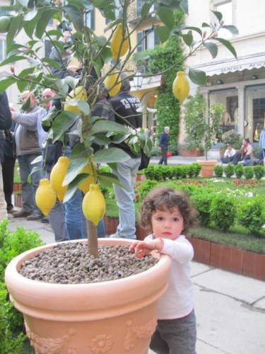 giardino all'italiana piazza san vittore