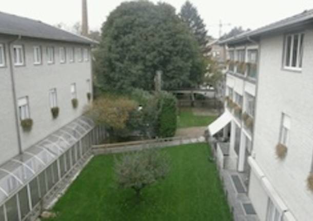 il melo gallarate