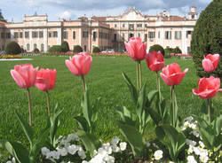 palazzo estense municipio varese