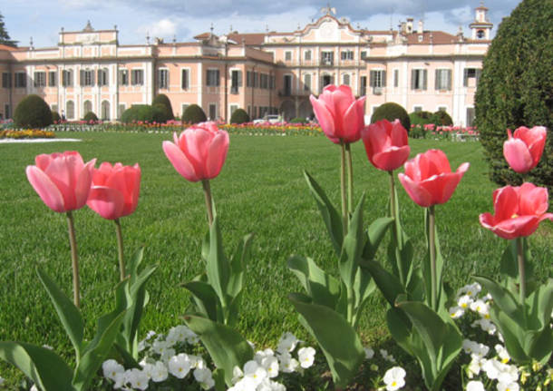 palazzo estense municipio varese