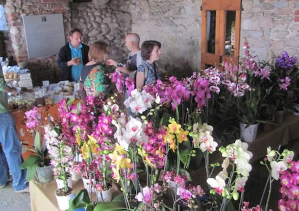 torba monastero fiori