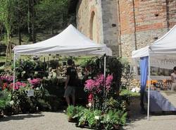 torba monastero fiori