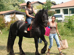 agrifest 2011 casciago pro loco morosolo