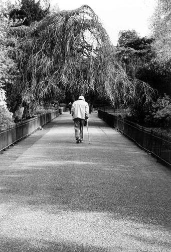 concorso fotografico bcc 2011