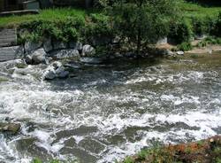 fiume olona schiuma maggio 2011