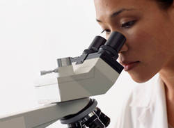microscopio scienza scienziato apertura ville ponti