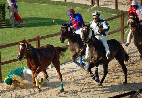 palio di legnano 2011 