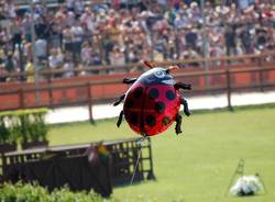 palio di legnano 2011  facce