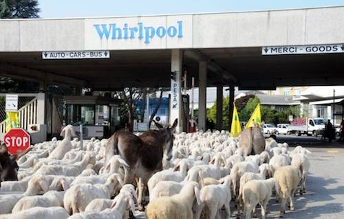 pecore whirlpool 2