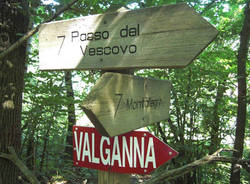 valganna monarco galleria