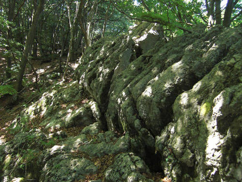 alpe tedesco strologo seconda parte