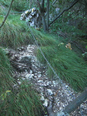 alpe tedesco strologo seconda parte